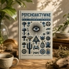 Książka Psychoaktywne rośliny, grzyby i zwierzęta -Wielki Przewodnik.