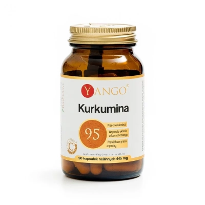 Kurkumina 95 - 90 kapsułek