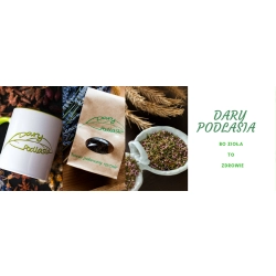 Dary Podlasia