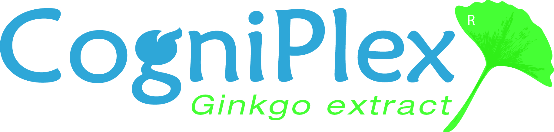 opis ginkgo