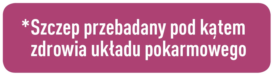 opis