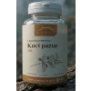 Koci pazur 100 kapsułek 500 mg
