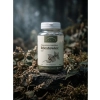 Rdestowiec Japoński 100 kapsułek 500 mg