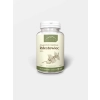Rdestowiec Japoński 100 kapsułek 500 mg