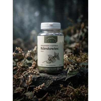 Rdestowiec Japoński 100 kapsułek 500 mg